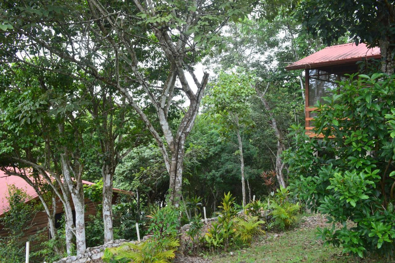 Santa Cruz Cabins Santa Elena 外观 照片