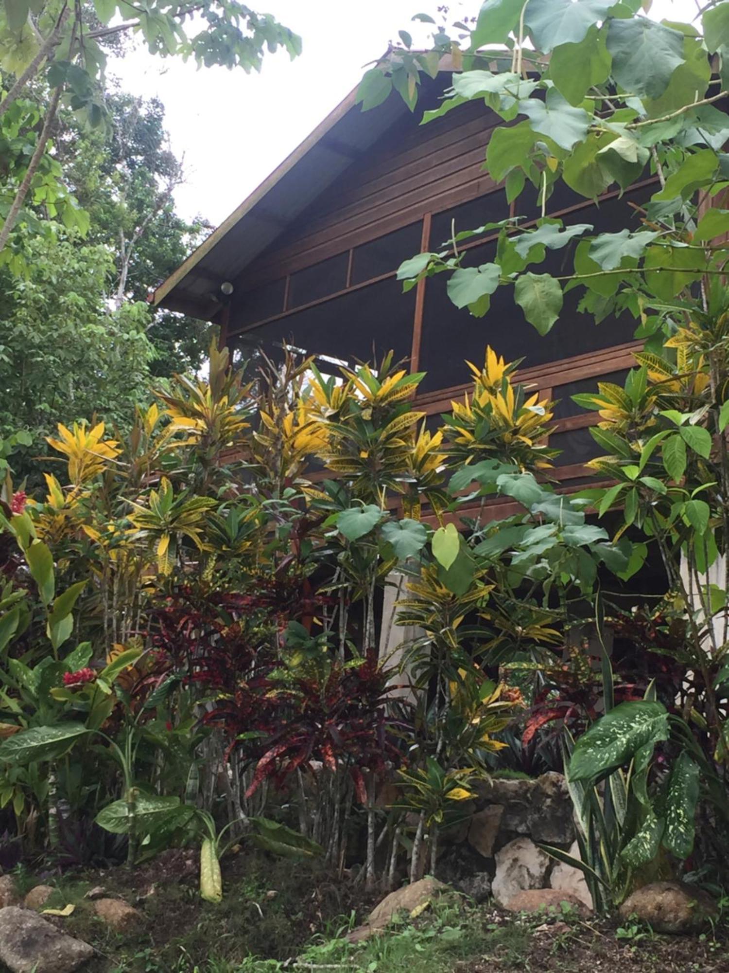 Santa Cruz Cabins Santa Elena 外观 照片
