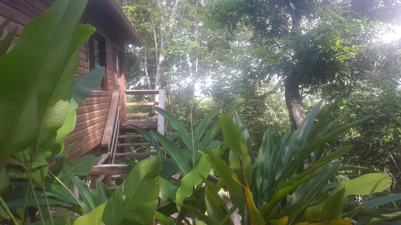 Santa Cruz Cabins Santa Elena 外观 照片
