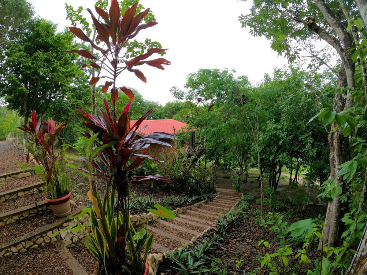 Santa Cruz Cabins Santa Elena 外观 照片